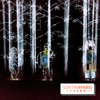 Teamlab : au delà des limites à la Villette, les photos