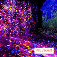 Teamlab : au delà des limites à la Villette, les photos