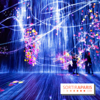 Teamlab : au delà des limites à la Villette, les photos