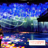 Teamlab : au delà des limites à la Villette, les photos