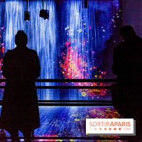 Teamlab : au delà des limites à la Villette, les photos