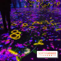 Teamlab : au delà des limites à la Villette, les photos