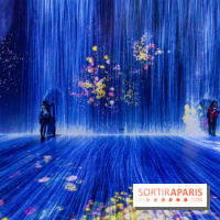 Teamlab : au delà des limites à la Villette, les photos
