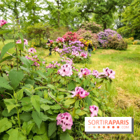 L'Arboretum de Versailles - Chevreloup