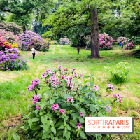 L'Arboretum de Versailles - Chevreloup