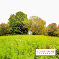 L'Arboretum de Versailles - Chevreloup