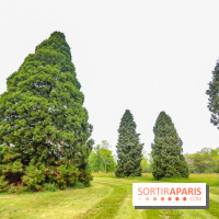 L'Arboretum de Versailles - Chevreloup