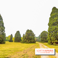 L'Arboretum de Versailles - Chevreloup