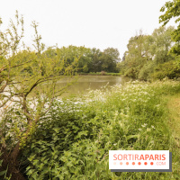 L'Arboretum de Versailles - Chevreloup