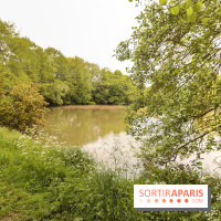 L'Arboretum de Versailles - Chevreloup