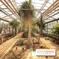 L'Arboretum de Versailles - Chevreloup