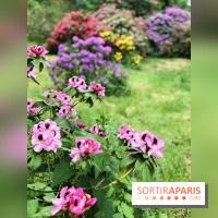 L'Arboretum de Versailles - Chevreloup