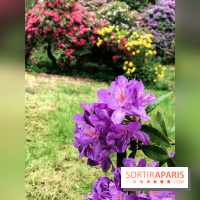 L'Arboretum de Versailles - Chevreloup