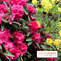 L'Arboretum de Versailles - Chevreloup