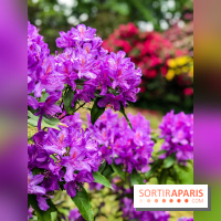 L'Arboretum de Versailles - Chevreloup