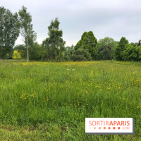 L'Arboretum de Versailles - Chevreloup