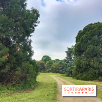 L'Arboretum de Versailles - Chevreloup