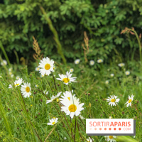 L'Arboretum de Versailles - Chevreloup