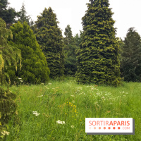 L'Arboretum de Versailles - Chevreloup