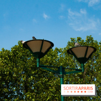 Fête de la Nature 2018 : les oiseaux de Paris