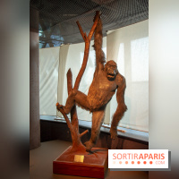 Le Magasin des petits explorateurs au Musée du Quai Branly : les photos