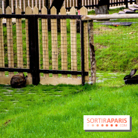 Le Jardin d'Acclimatation dévoile son nouveau visage et ses attractions, les photos