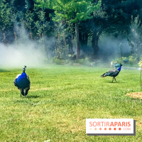 Le Jardin d'Acclimatation dévoile son nouveau visage et ses attractions, les photos