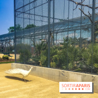 Le Jardin d'Acclimatation dévoile son nouveau visage et ses attractions, les photos