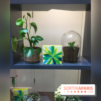 La Maison du Chocolat - Collection Bien-Être