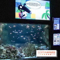 Loup préserve les océans à l'Aquarium de Paris, les photos