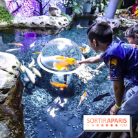 Loup préserve les océans à l'Aquarium de Paris, les photos