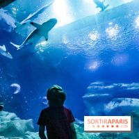 Loup préserve les océans à l'Aquarium de Paris, les photos