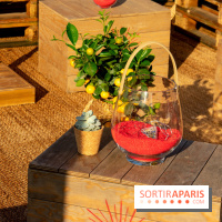 Ma Terrazza, édition 2018, squatte le Petit Bain à Paris