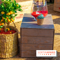 Ma Terrazza, édition 2018, squatte le Petit Bain à Paris