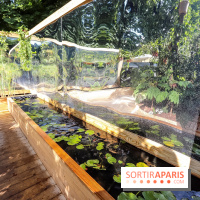 Jardins Jardin 2018, les photos