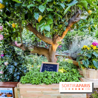 Jardins Jardin 2018, les photos