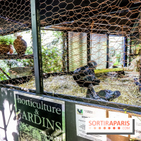 Jardins Jardin 2018, les photos