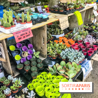 Jardins Jardin 2018, les photos