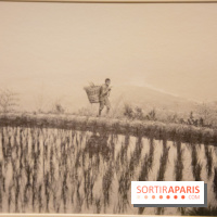 Terres de riz, l'exposition au musée Guimet