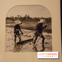Terres de riz, l'exposition au musée Guimet