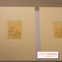 Terres de riz, l'exposition au musée Guimet