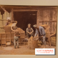 Terres de riz, l'exposition au musée Guimet