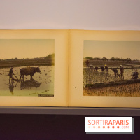 Terres de riz, l'exposition au musée Guimet