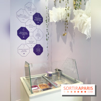 Glaces Foucade Paris