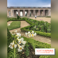 Jean Cotelle, l'exposition au Grand Trianon de Versailles