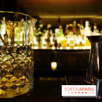 Bar du Kinugawa Vendôme à Paris