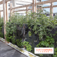 Sous les Fraises & So Ouest inaugurent la première ferme maraichère urbaine à Levallois-Perret : les photos