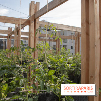 Sous les Fraises & So Ouest inaugurent la première ferme maraichère urbaine à Levallois-Perret : les photos