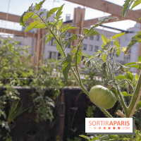 Sous les Fraises & So Ouest inaugurent la première ferme maraichère urbaine à Levallois-Perret : les photos