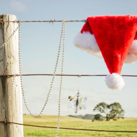 Un Noël engagé au Maïf Social Club